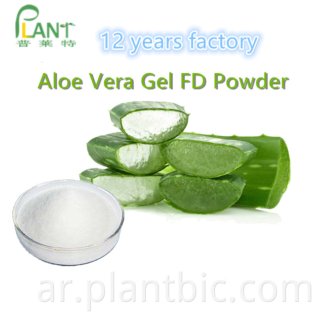 Aloe Vera Extract 